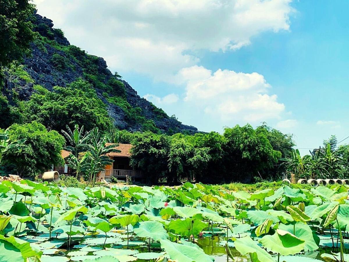Ham Rong Homestay Ninh Binh Eksteriør bilde