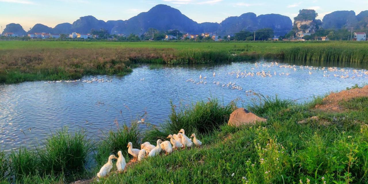 Ham Rong Homestay Ninh Binh Eksteriør bilde