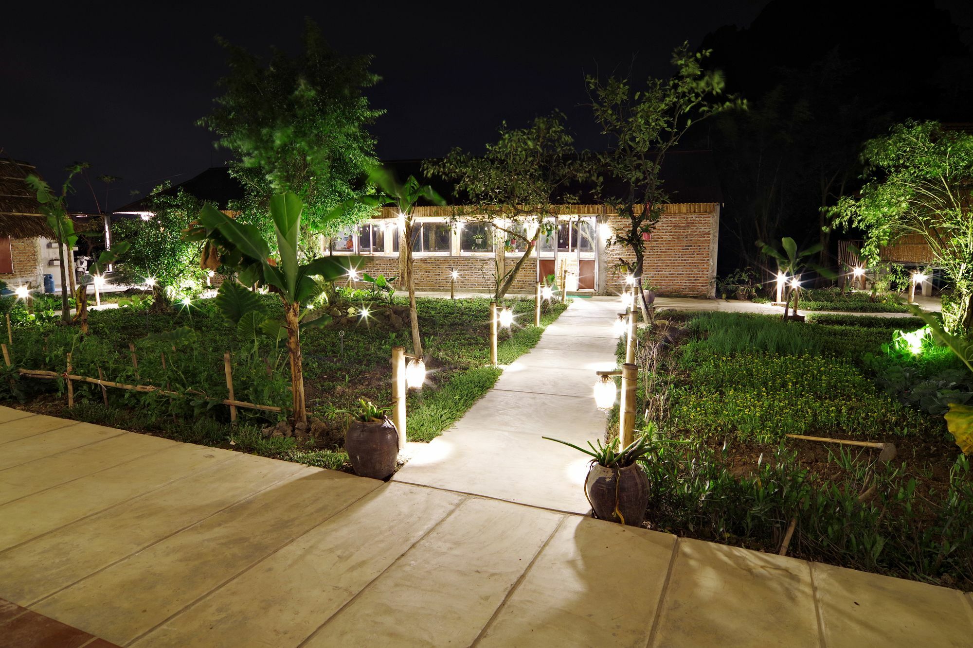 Ham Rong Homestay Ninh Binh Eksteriør bilde
