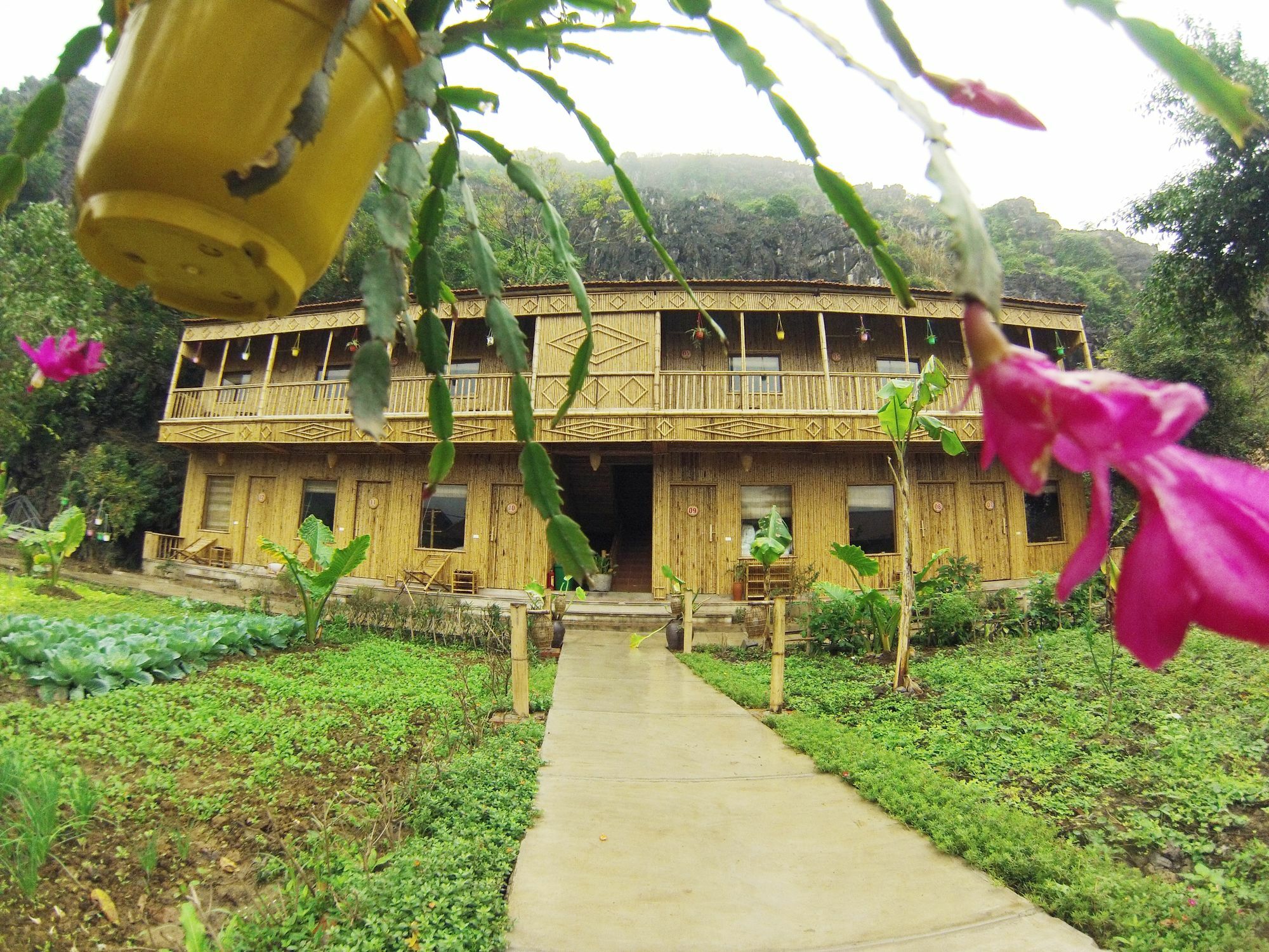Ham Rong Homestay Ninh Binh Eksteriør bilde