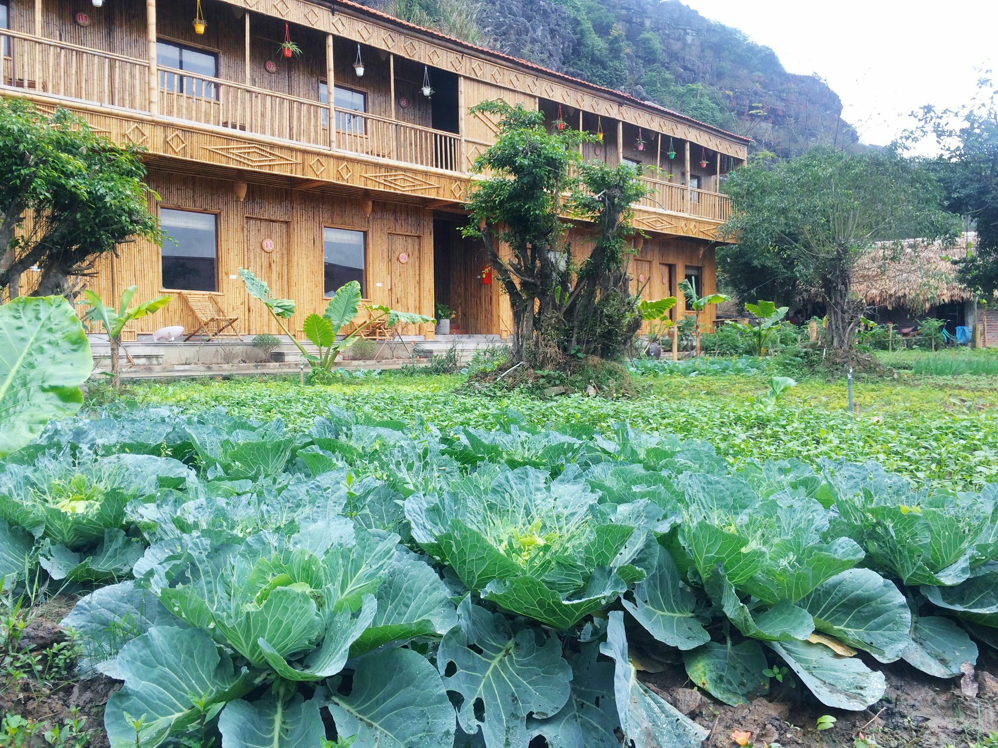 Ham Rong Homestay Ninh Binh Eksteriør bilde