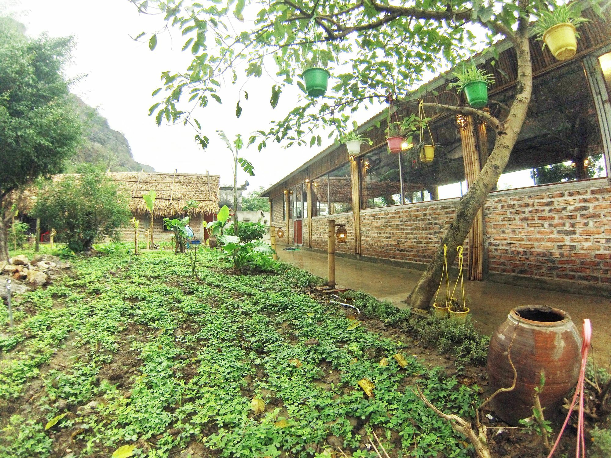 Ham Rong Homestay Ninh Binh Eksteriør bilde