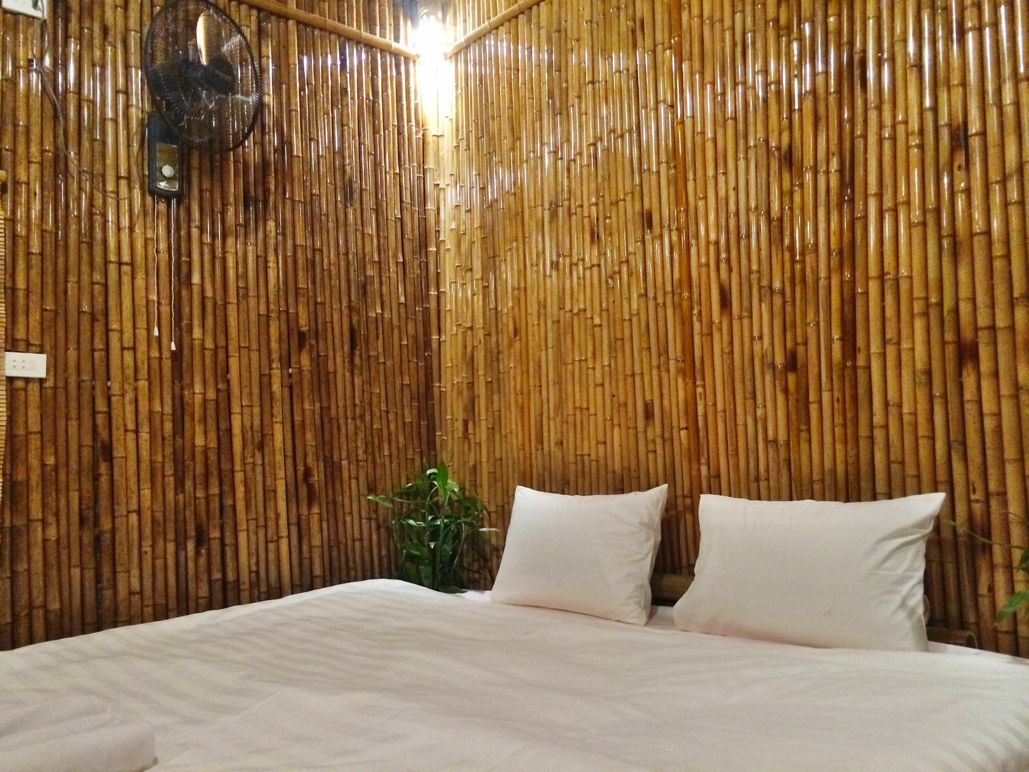 Ham Rong Homestay Ninh Binh Eksteriør bilde
